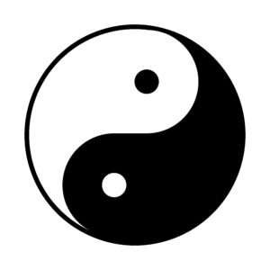 Taiji e l'alternanza di yin e yang